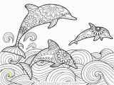 Coloring Pages Dolphins Pin by Muse Printables On Adult Coloring Pages at Coloringgarden