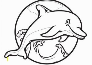 Coloring Pages Dolphins Printable Dolphin