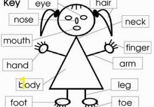 Coloring Pages Face Parts Parts Of the Body and Face Posters and Worksheets