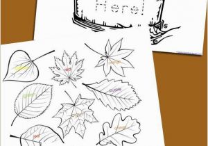 Coloring Pages for Adults Free to Download &amp; Print 114 Best Images About School Kids Stuff On Pinterest