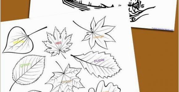 Coloring Pages for Adults Free to Download &amp; Print 114 Best Images About School Kids Stuff On Pinterest