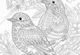 Coloring Pages for Adults Printable Pdf Coloring Pages for Adults Lovely Birds Couple Spring