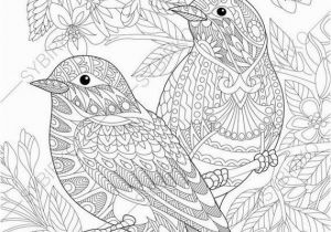 Coloring Pages for Adults Printable Pdf Coloring Pages for Adults Lovely Birds Couple Spring