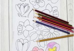 Coloring Pages for Dementia Patients 659 Best Easy Coloring Activities for Alzheimer S and