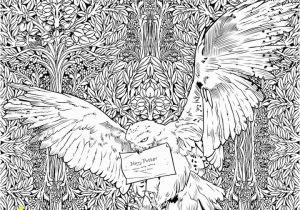 Coloring Pages for Harry Potter 22 Harry Potter Printables & Coloring Sheets