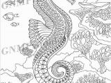 Coloring Pages for Intermediate Students Seahorse Pdf Zentangle Coloring Page therapy Coloring