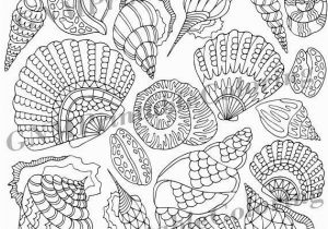 Coloring Pages for Intermediate Students these Zentangle Seashells are Part Of A Fun Coloring Page