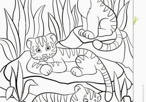 Coloring Pages for Kids Animals How to Cartoon Drawing Book In 2020