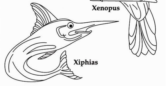 Coloring Pages for Letter X top 10 Letter X Coloring Pages Your toddler Will Love to