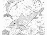 Coloring Pages for Ocean Animals Delfine Malvorlagen