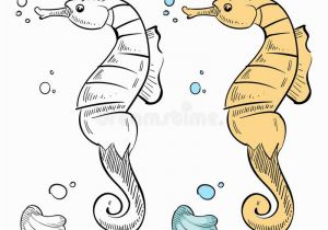 Coloring Pages for Ocean Animals Ocean Wild Life Coloring Hand Drawn Sea Horse and Shell
