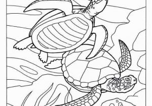 Coloring Pages for Ocean Animals Unique Coloring Pages Fish for Adults Picolour