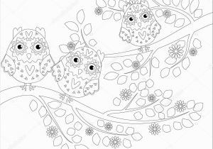 Coloring Pages for Older Kids Coloring Book Adult Older Children Coloring Page Cute Owl