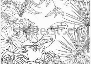 Coloring Pages for Older Kids Tropical Wild Birds and Plants Tropical Garden Collection