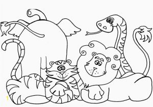 Coloring Pages for Preschoolers Spring Pin On Animal Coloring Pages