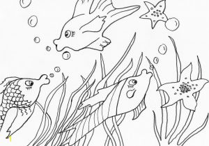 Coloring Pages for solar Eclipse Ausmalbilder Fische Malen Meer