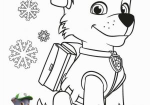 Coloring Pages for solar Eclipse Paw Patrol Ausmalbilder Rocky