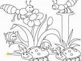 Coloring Pages for Spring Printable Spring Bugs Coloring Pages with Images