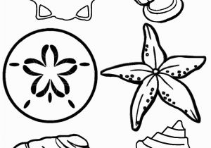 Coloring Pages for Under the Sea Seashell03 7681024