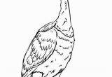 Coloring Pages for Up Movie Beautiful Disney Up Character Kevin the Bird Coloring Page