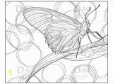 Coloring Pages for Young Adults butterfly Coloring Page butterfly Digi Adult Coloring Page Nature Insect Instant Download Leaf Moth butterfly Drawing