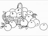 Coloring Pages for Young Learners Basket Full Of Fresh Apple Fruits Free Coloring Pages