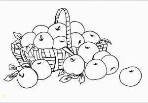 Coloring Pages for Young Learners Basket Full Of Fresh Apple Fruits Free Coloring Pages