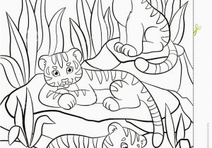 Coloring Pages for Zoo Animals How to Cartoon Drawing Book In 2020