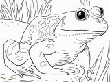 Coloring Pages for Zoo Animals Zoo Animals Coloring Pages