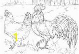 Coloring Pages Free Printable Rooster Chicken or Rooster Colouring In Google Search In 2020