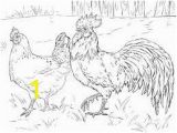 Coloring Pages Free Printable Rooster Chicken or Rooster Colouring In Google Search In 2020