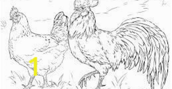 Coloring Pages Free Printable Rooster Chicken or Rooster Colouring In Google Search In 2020