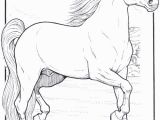 Coloring Pages Horses Funnycoloring Animals Coloring Pages B Horses B B