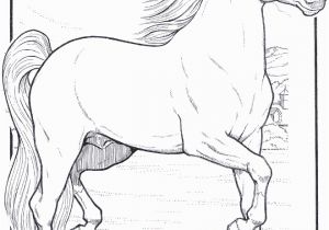 Coloring Pages Horses Funnycoloring Animals Coloring Pages B Horses B B