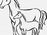 Coloring Pages Horses Pferde Ausmalbilder Beispielbilder Färben Christmas Coloring Pages