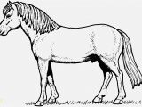 Coloring Pages Horses Pferde Ausmalbilder Beispielbilder Färben Christmas Coloring Pages