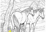 Coloring Pages Horses Pin by Elena Krupnova On Coloring Pages