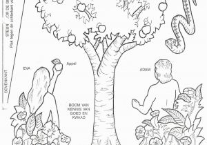 Coloring Pages Jesus Loves Me Pin On Adam & Eve