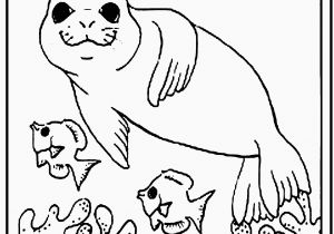 Coloring Pages Of Animals African Animals Coloring Pages Awesome Animal Coloring Luxury Fox