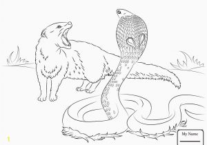Coloring Pages Of Animals Printable Animal Coloring Pages Awesome Drawing Printables 0d