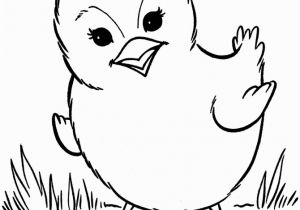 Coloring Pages Of Baby Chicks Chick Coloring Page Animal Coloring Pages