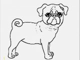 Coloring Pages Of Baby Pugs Download and Print for Free Pug Coloring Pages