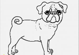 Coloring Pages Of Baby Pugs Download and Print for Free Pug Coloring Pages