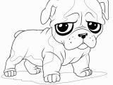 Coloring Pages Of Baby Pugs Pin by Julia On Colorings