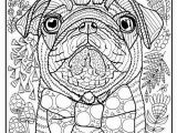 Coloring Pages Of Baby Pugs Pugs Coloring Pages Pug Coloring Pages Unique Pug Tangle Zentangle