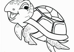Coloring Pages Of Baby Sea Animals Cute Baby Sea Turtle Coloring Page Free Printable