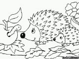 Coloring Pages Of Cartoon Flowers 10 Best Ausmalbilder Herbst 14 Ausmalbilder Herbst Igel