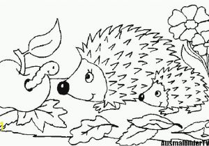 Coloring Pages Of Cartoon Flowers 10 Best Ausmalbilder Herbst 14 Ausmalbilder Herbst Igel