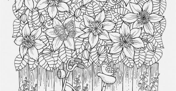 Coloring Pages Of Cloud Cloud Coloring Page Parrot Coloring Pages Free Coloring Pages