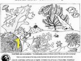 Coloring Pages Of Coral Reefs 256 Best Kids Coloring Pages Images On Pinterest